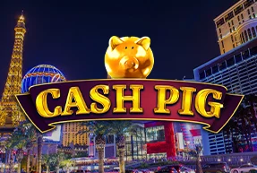 Cash Pig