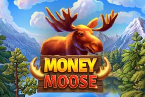 Money Moose